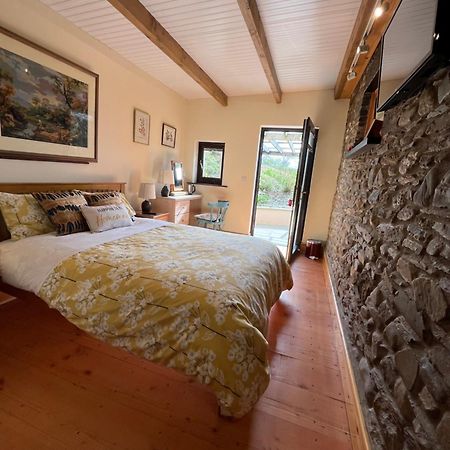 Neuadd Villa Llanwnen Zewnętrze zdjęcie