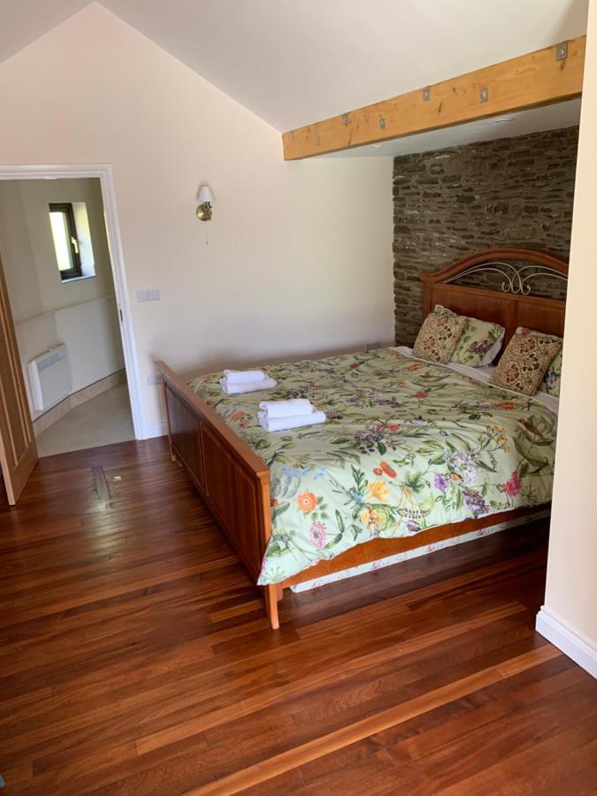 Neuadd Villa Llanwnen Zewnętrze zdjęcie